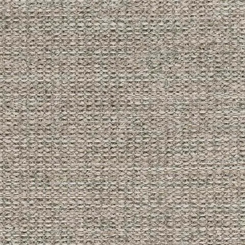 Silla Kestrel