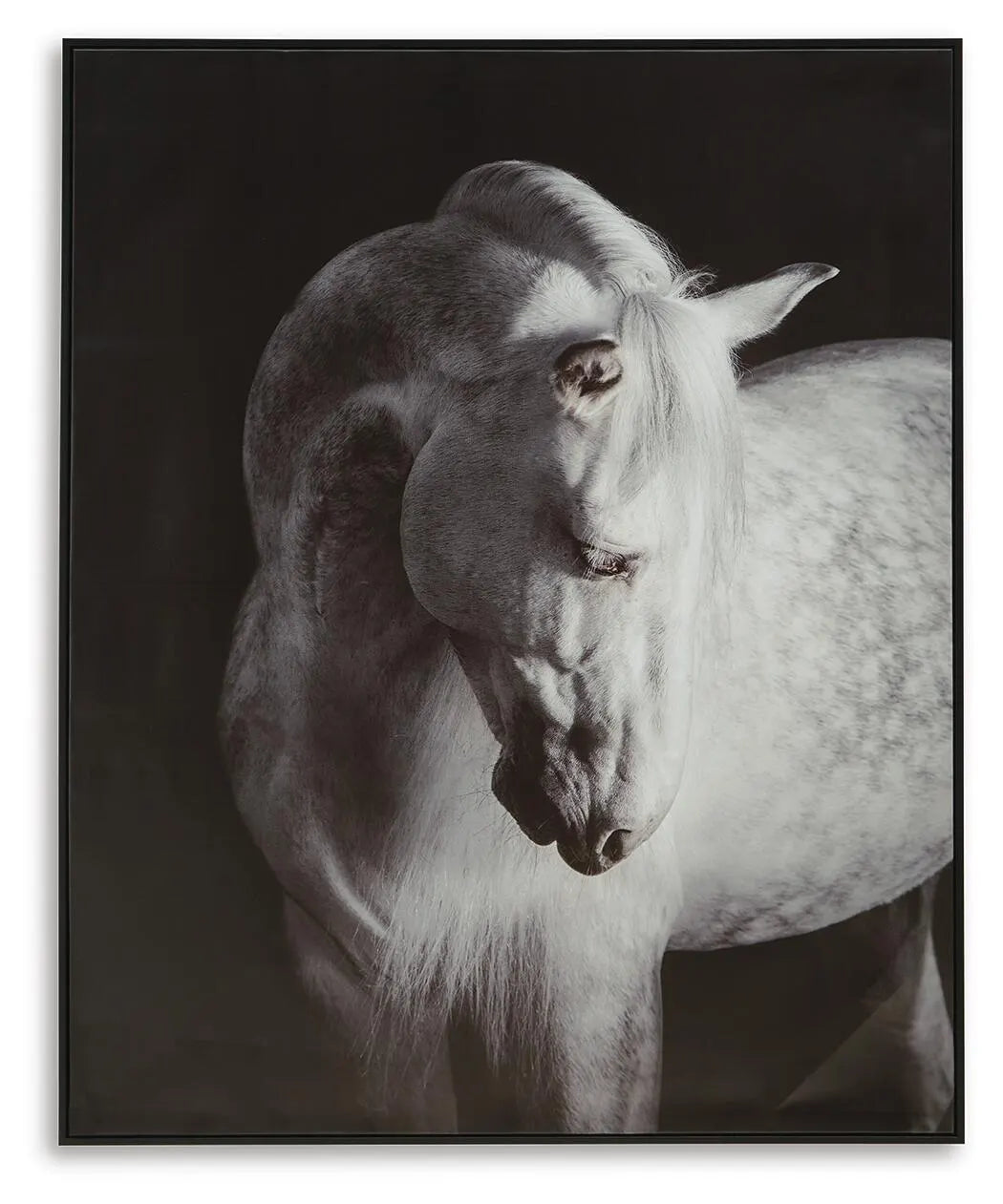 Arte de Pared Archerwick