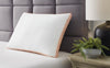 Zephyr 2.0 3-in-1 Pillow (6/Case)