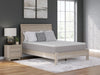 Terra Sleep Medium King Mattress